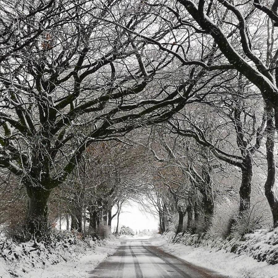 Exmoor Retreat On Two Moors Way Withypool Exterior foto